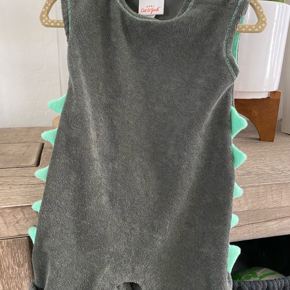 Cat & Jack Dino baby costume